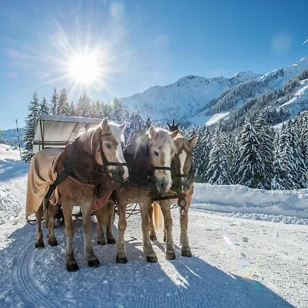 Gasthuis Haus Daniela 3*