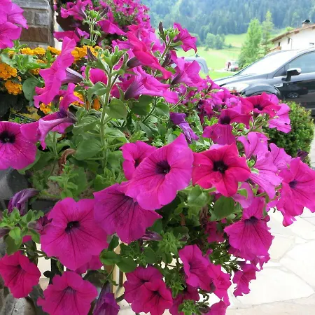 Gasthuis Haus Daniela 3*