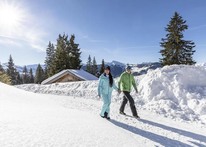 Haus Daniela 3* Wildschoenau