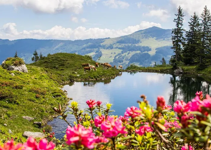 Haus Daniela Pensión 3*