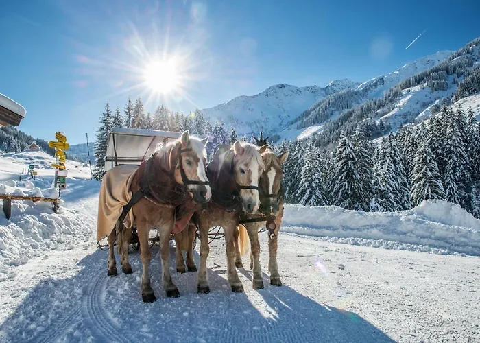 Pensión Haus Daniela 3*