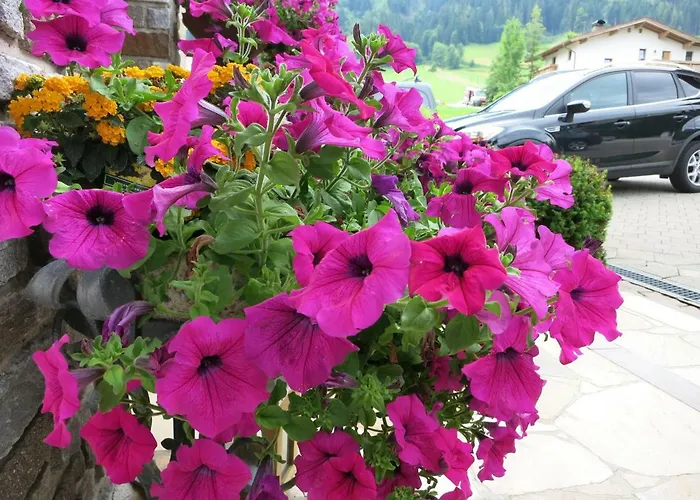 Pensión Haus Daniela 3*